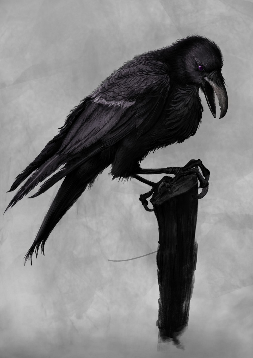 Corbeau impressionnant aux yeux violets sur un pieu