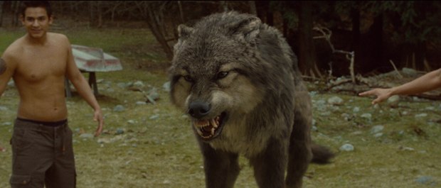 Image des loups-garous (forme humaine et forme de loup) du film Twilight Chap 2 - Chris Weitz 2009