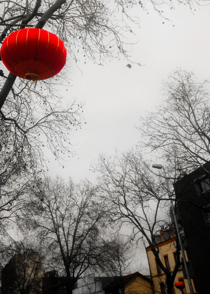 Lanterne rouge accrochée à un arbre dans Aubervilliers