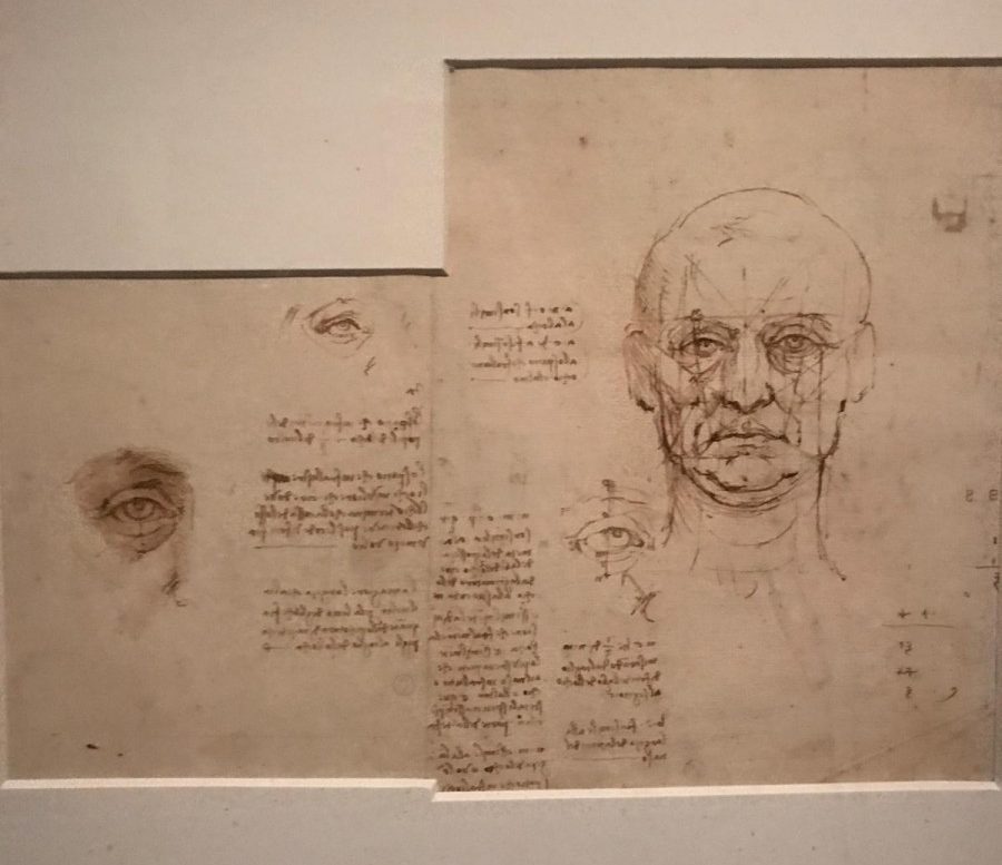 exposition Léonard de Vinci - proportions corps humain