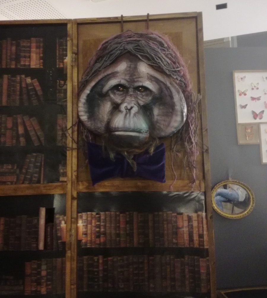 Maurice dans la bibliothèque du Cabinet de curiosités