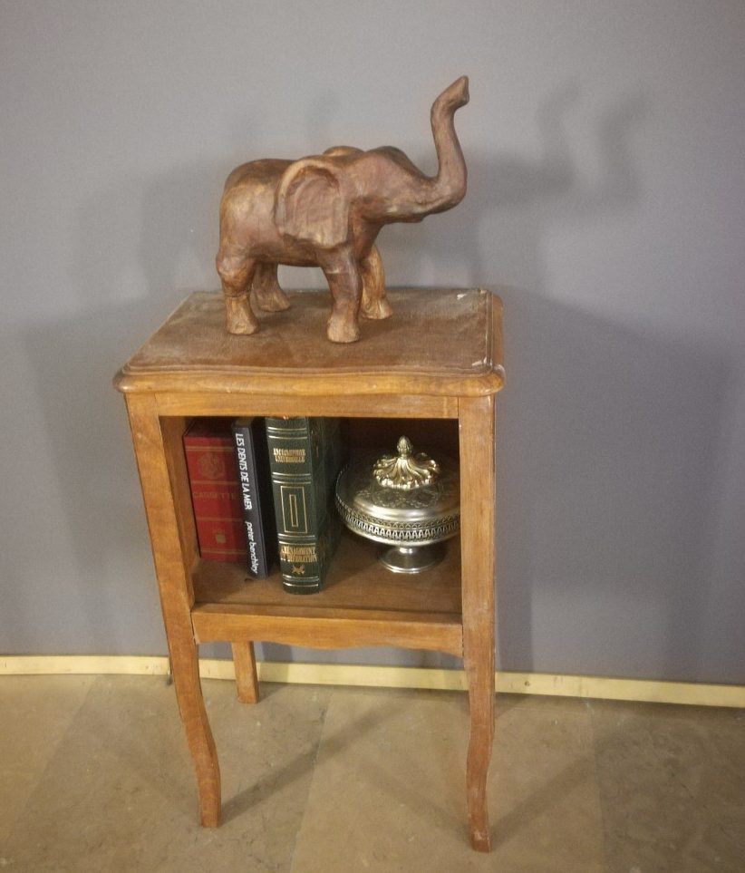 Eléphant sur un petit meuble avec livres Cabinet de curiosités