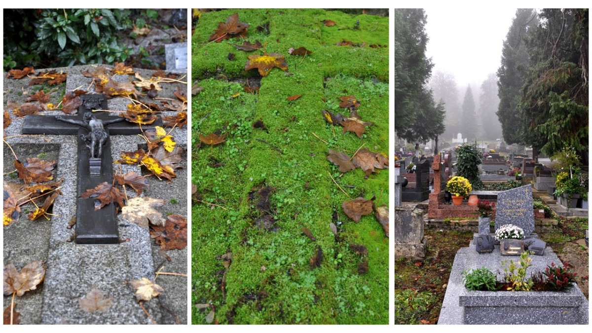 3 photos de tombes dans un cimetière en automne