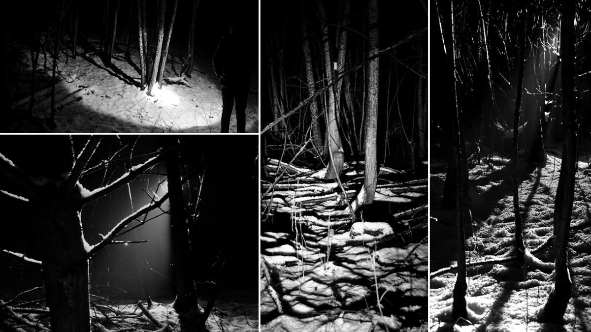 4 images de neige dans la forêt de nuit (noir et blanc)