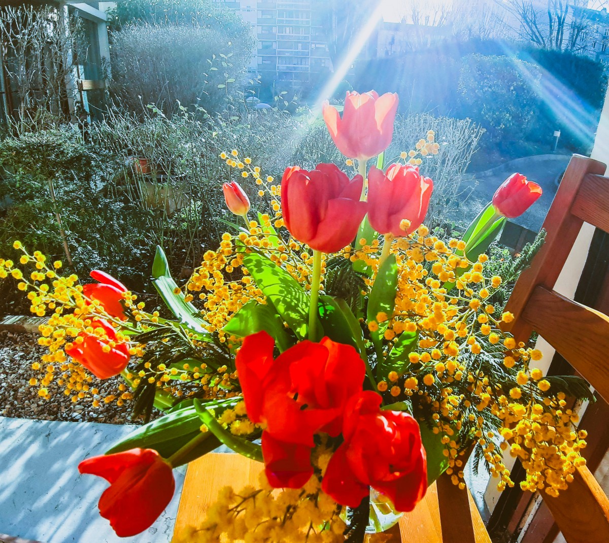 Bouquet de fleurs rouges et jaunes avec des feuilles vertes devant une fenêtre sous un rayon de soleil