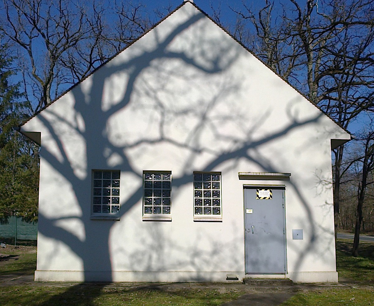Maison simple blanche porte bleue 3 fenêtre ombre d'un arbre