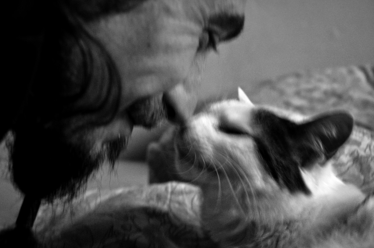Photo floue noir et blanc homme et chat nez contre nez