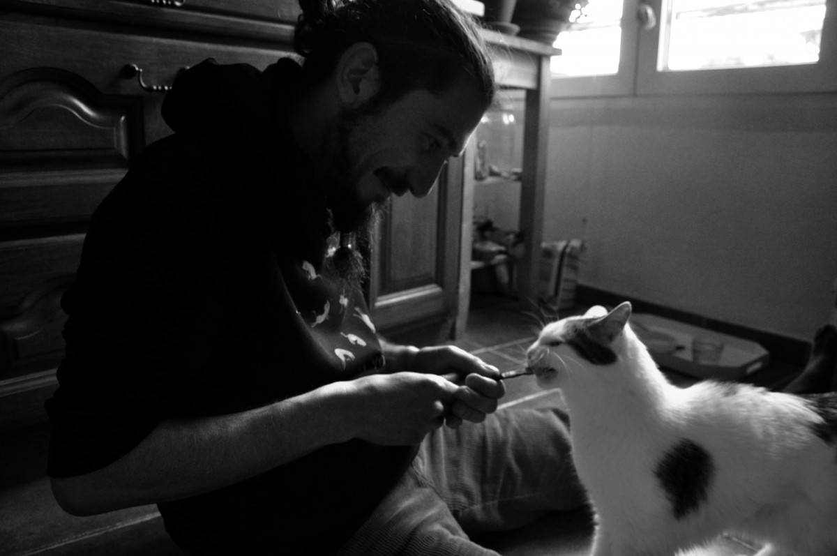 Homme jouant avec un chat - noir et blanc