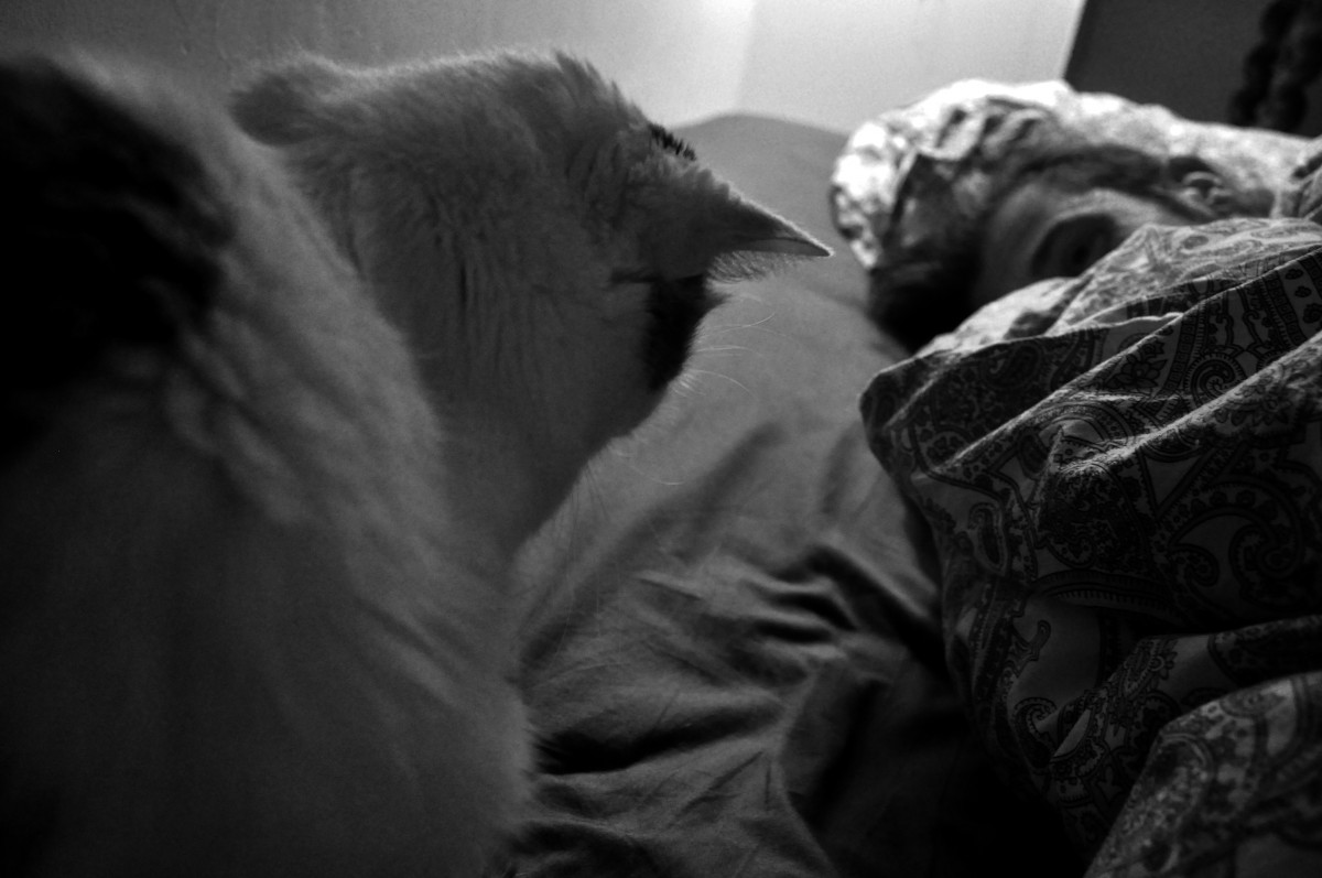 Chat assis à côté d'un homme dans un lit (noir et blanc)