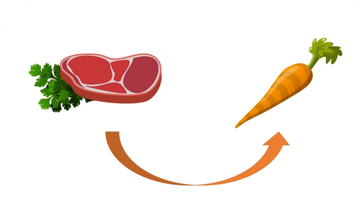 Steak et carotte avec une flèche orange entre les deux