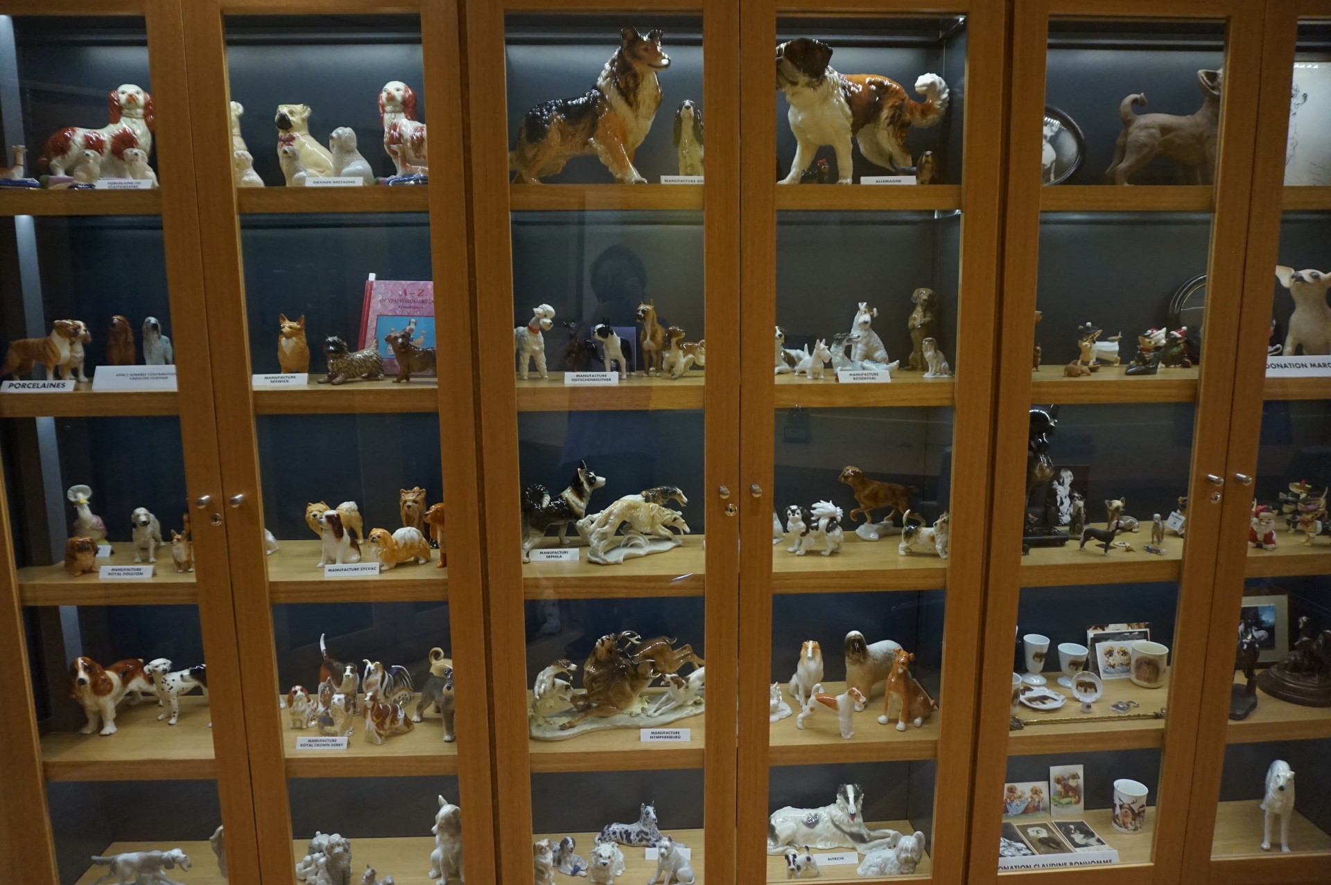 Porcelaines de chiens exposées dans une vitrine de la médiathèque