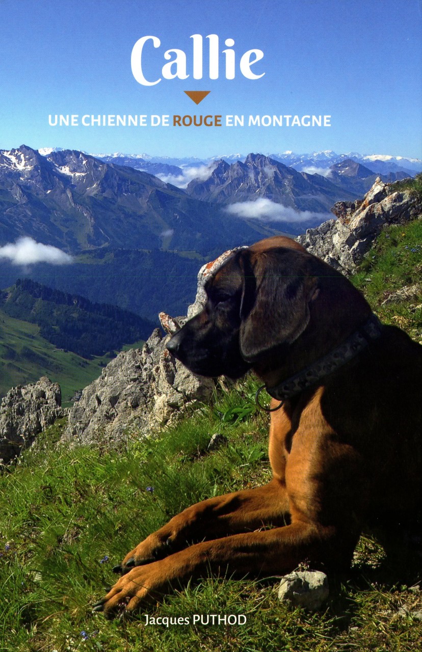 Première couverture du livre "Callie une chienne de rouge en montagne" avec une chienne de rouge du Hanovre devant un paysage montagnard