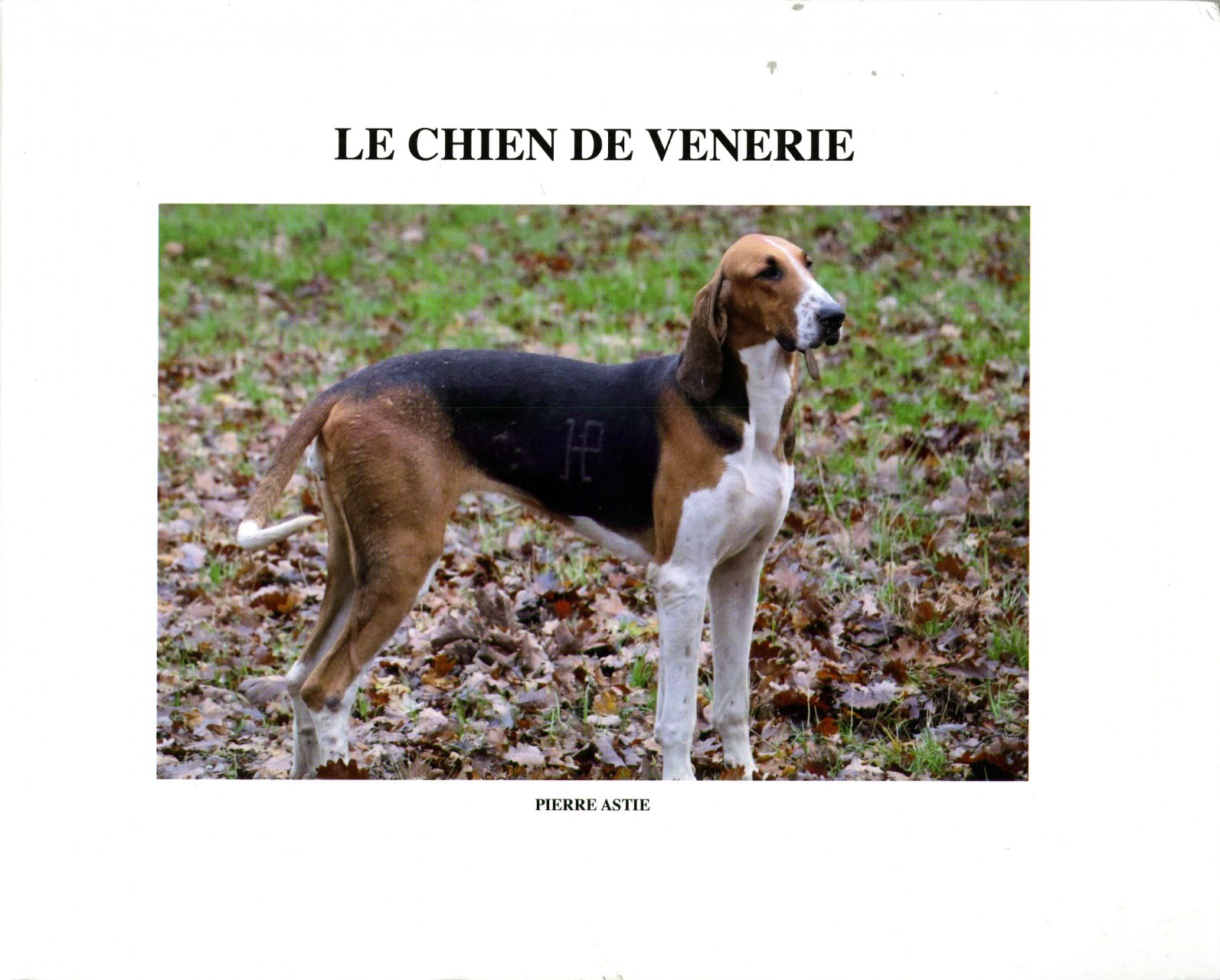 Première couverture livre "Le chien de venerie" avec un chien de vènerie marqué de l'initiale de son équipage