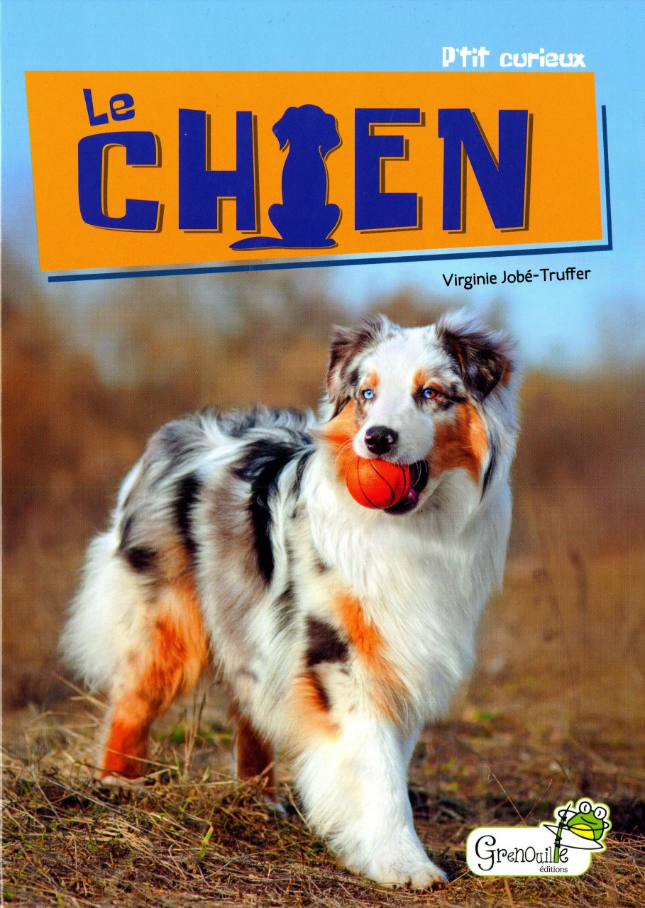 Première couverture livre "Le chien" berger australien merle tricolore tenant une balle dans la gueule