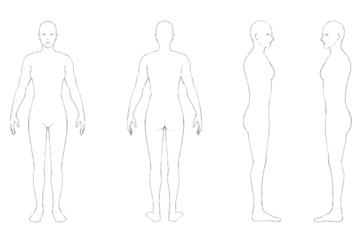 illustration de construction de corps vue sur différent profil