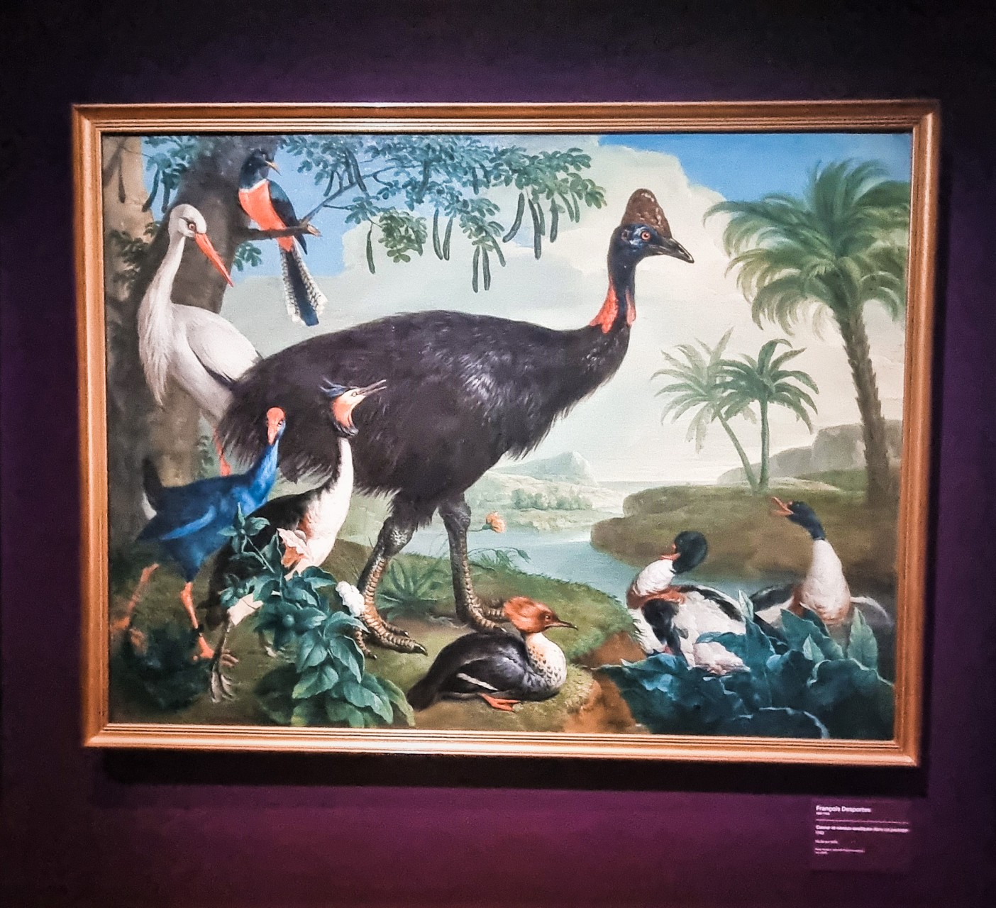 Tableau représentant un casoar et d'autres oiseaux exotiques dans un décor avec palmiers et rivière