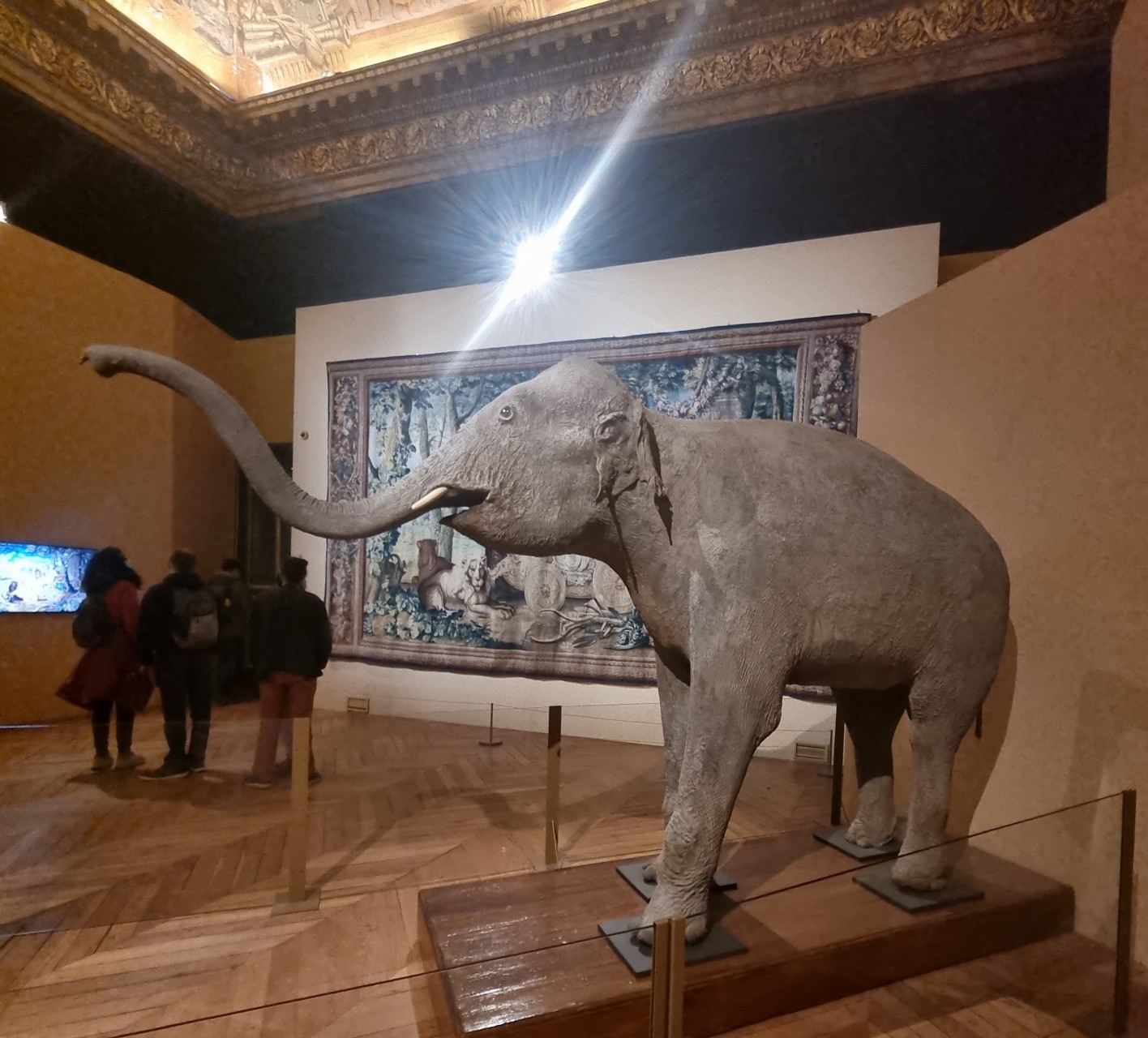Shanti, l'éléphante naturalisée du Château de Versailles
