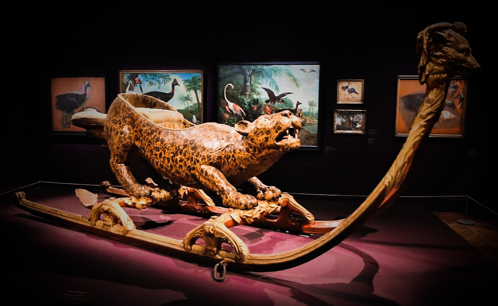 Le Traîneau au léopard de Louis XV devant des représentations d'oiseaux exposés au Château de Versailles
