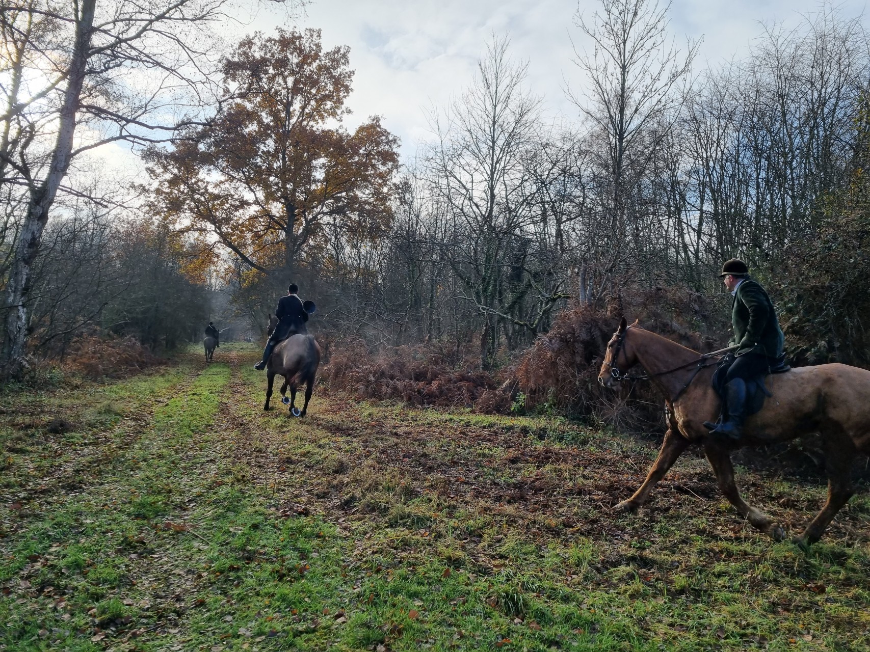 Deux chevaux montés dans la forêt