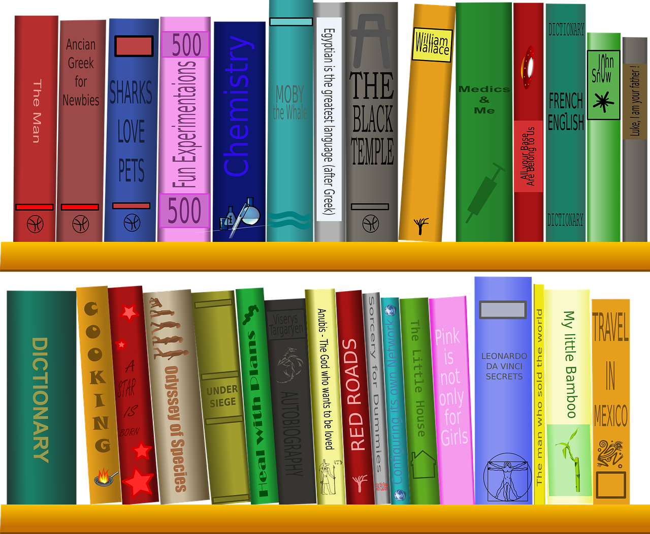 Rayonnages de bibliothèque avec des livres divers et variés